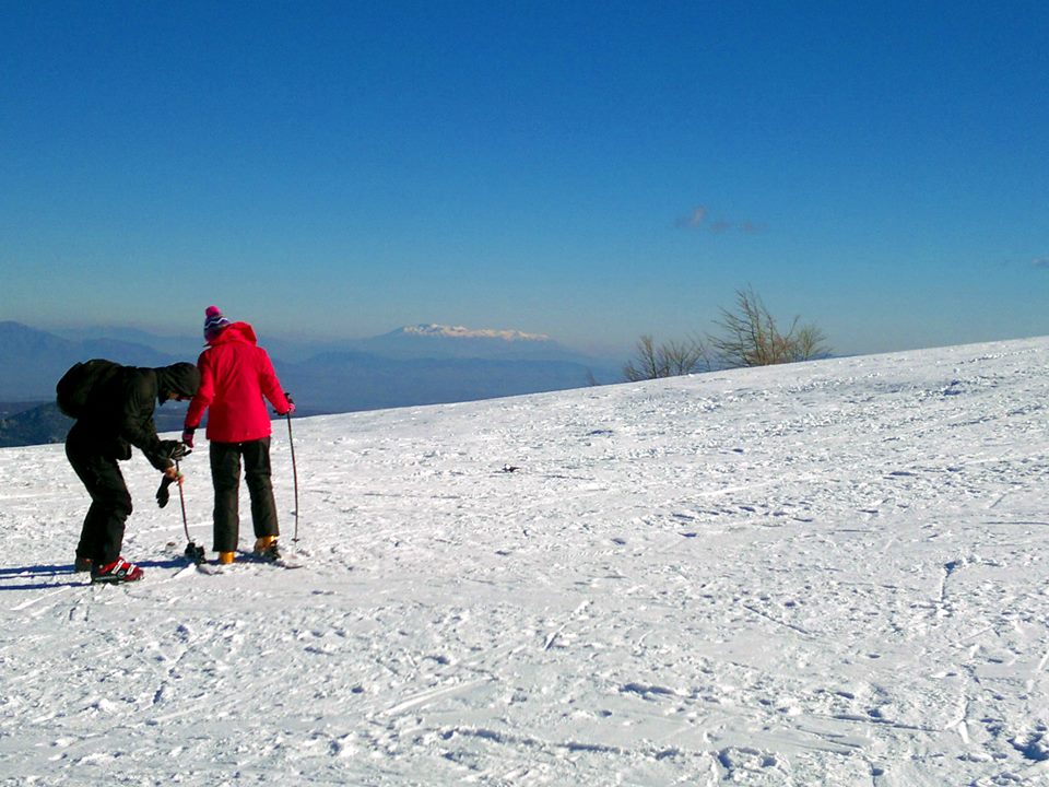 vasilitsa-15-12-2013baaa.jpg