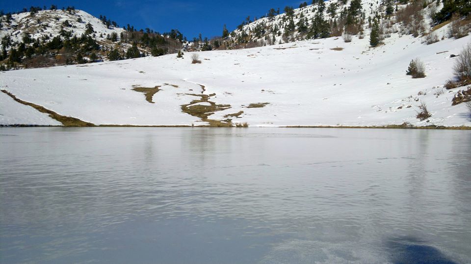 vasilitsa-15-12-2013baabb.jpg