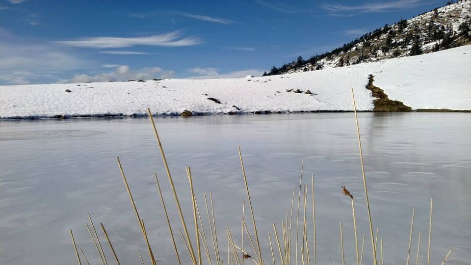 vasilitsa-15-12-2013cccabbb.jpg