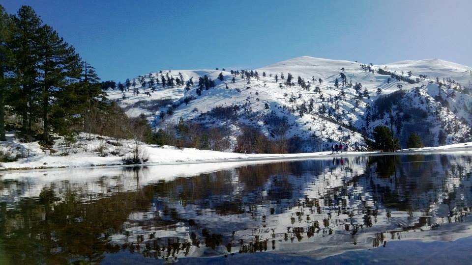 vasilitsa-15-12-2013ccxabbb.jpg
